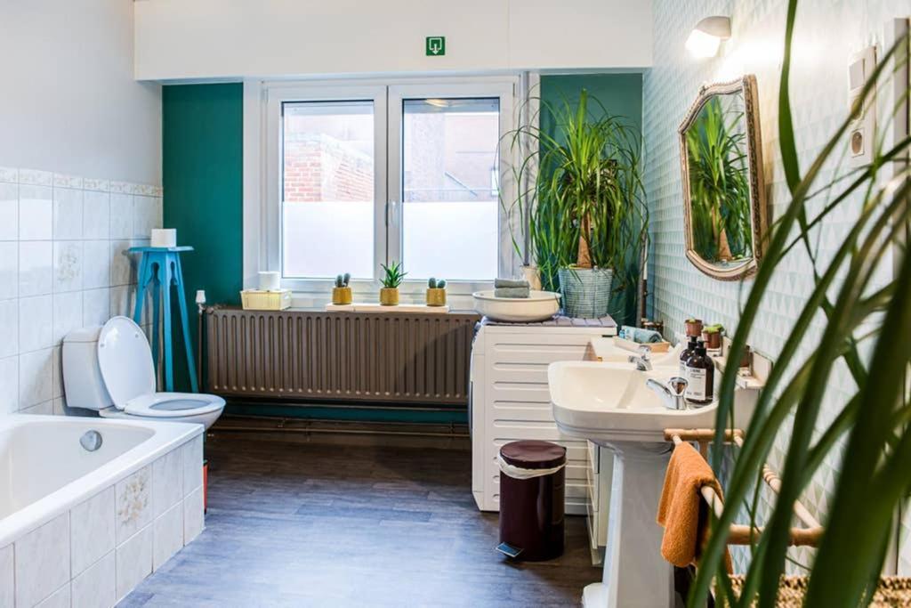 Vakantiewoning In Mol Centrum Met Eigen Bar "Casacuriosa" Exterior foto
